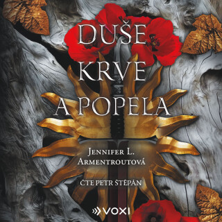 Duše krve a popela - Jennifer L. Armentroutová