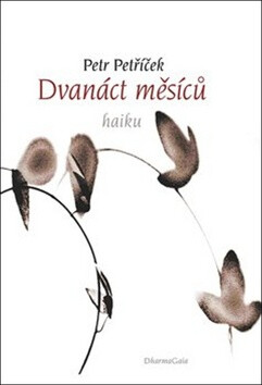 Dvanáct měsíců - Petr Petříček