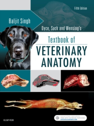 Dyce, Sack, and Wensing's Textbook of Veterinary Anatomy - Singh Baljit
