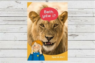 Dyna Chi Dric: Beth Ydw I? - Aneirin Karadog,Eirian Lloyd Jones