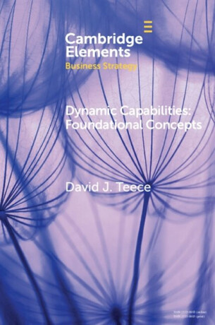Dynamic Capabilities - David J.  Teece