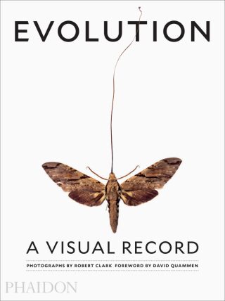 Evolution: A Visual Record - Robert Clark