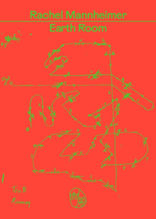 Earth Room - Rachel Mannheimer