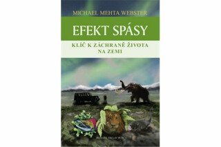 Efekt spásy - Michael Mehta Webster