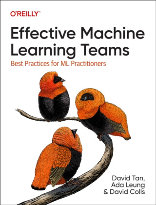 Effective Machine Learning Teams - Ada Leung,David Tan,David Colls