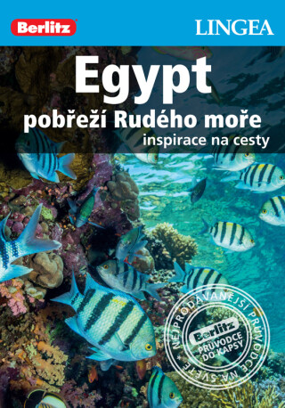 Egypt, pobřeží Rudého moře - Lingea