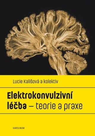 Elektrokonvulzivní léčba - teorie a praxe - Lucie Kališová