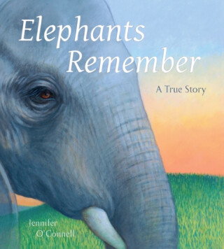 Elephants Remember - Jennifer O'Connell