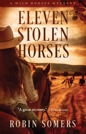 Eleven Stolen Horses - Robin Somers