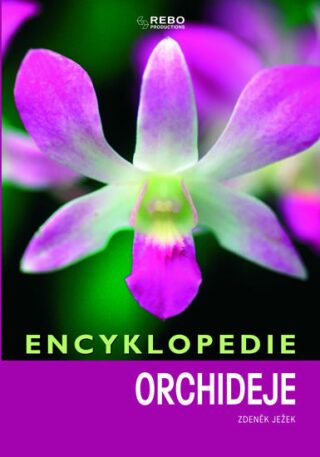 Encyklopedie orchideje - Zdeněk Ježek