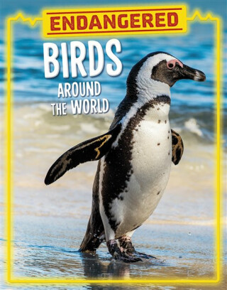 Endangered Birds Around the World - Lisa J. Amstutz