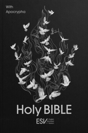 ESV Holy Bible with Apocrypha, Anglicized Standard Hardback - SPCK ESV-CE Bibles