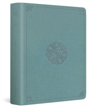ESV Journaling Bible - 