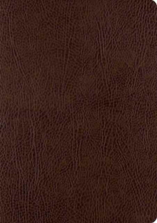 ESV Single Column Journaling Bible, Large Print (Bonded Leather, Mocha) - 