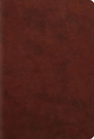 ESV Student Study Bible - 