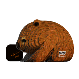 EUGY Vombat 3D kartonová skládačka - 