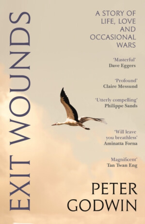 Exit Wounds - Peter Godwin