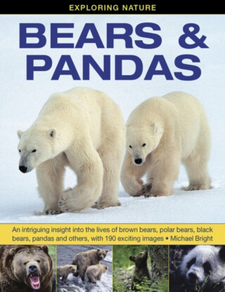 Exploring Nature: Bears & Pandas - Michael Bright