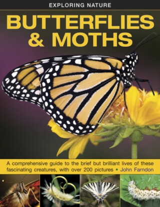 Exploring Nature: Butterflies & Moths - John Farndon