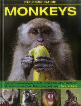 Exploring Nature: Monkeys - Tom Jackson