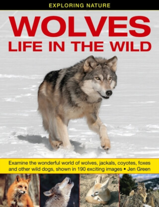 Exploring Nature: Wolves - Life in the Wild - Dr Jen Green