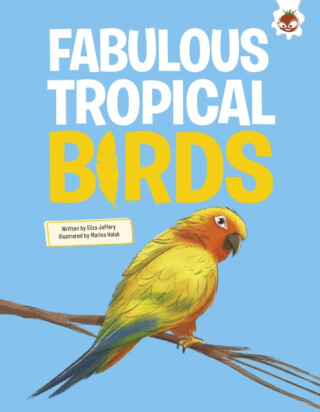 Fabulous Tropical Birds - Rosie Rowntree
