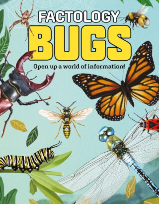 Factology: Bugs - 