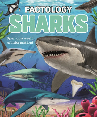 Factology: Sharks - Button Books