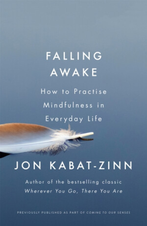 Falling Awake - Jon Kabat-Zinn