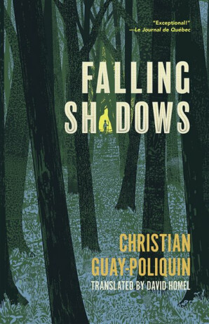 Falling Shadows - Christian Guay-Poliquin
