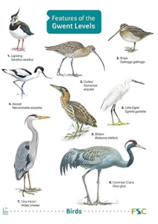 Features of the Gwent Levels - Mark Lewis,Kate Rodgers,Keith Harris,Kathy Barclay