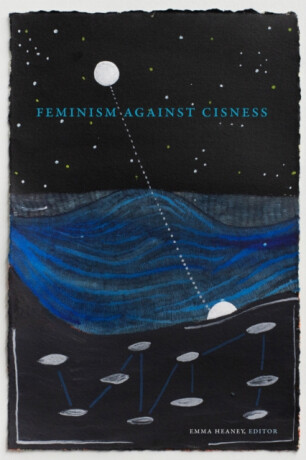 Feminism Against Cisness - 