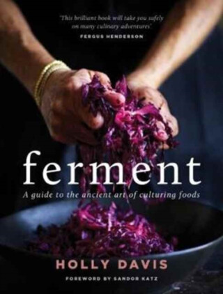 Ferment - Holly Davisová