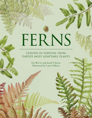 Ferns - Fay-Wei Li,Jacob S. Suissa