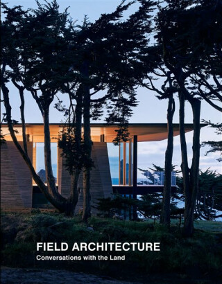 Field Architecture - Juhani Pallasmaa,Tami Hausman,Stan Field