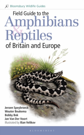Field Guide to the Amphibians and Reptiles of Britain and Europe - Bobby Bok,Wouter Beukema,Jeroen Speybroeck,Jan Van Der Voort