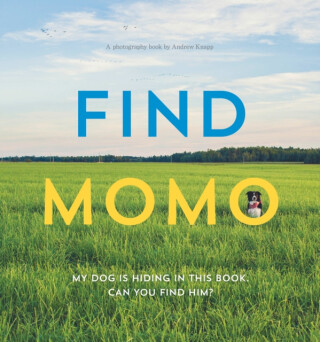 Find Momo - Andrew Knapp