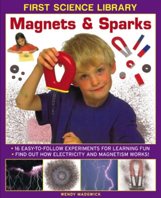 First Science Library: Magnets & Sparks - Wendy Madgwick