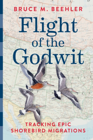 Flight of the Godwit - Bruce M.  Beehler