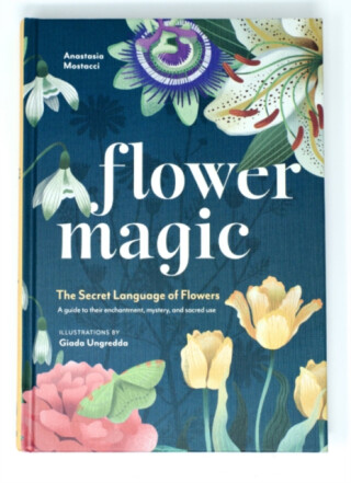 Flower Magic - Anastasia Mostacci