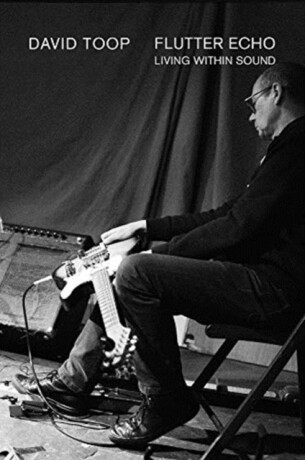 Flutter Echo - David Toop