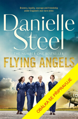 Flying Angels - Danielle Steel