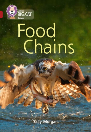 Food Chains - Sally Morganová