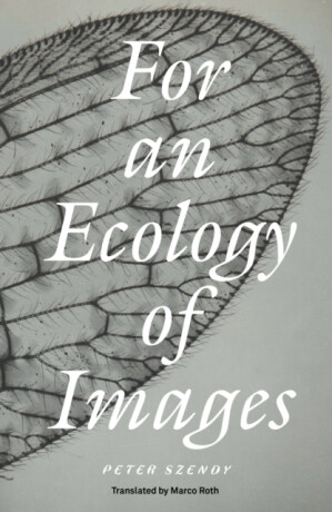 For an Ecology of Images - Peter Szendy