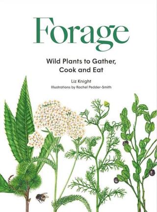 Forage - Liz Knight