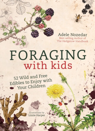 Foraging with Kids - Nozedar Adele