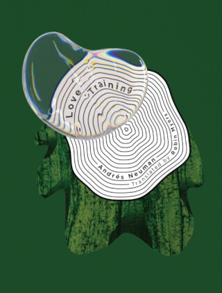 Foreign Music - Andres Neuman