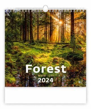 Forest/Wald/Les - nástěnný kalendář 2024 - neuveden
