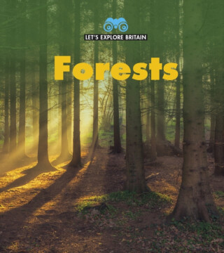 Forests - James Nixon