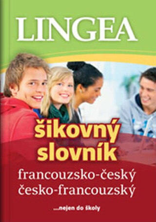 Francouzsko-český česko-francouzský šikovný slovník - kolektiv autorů